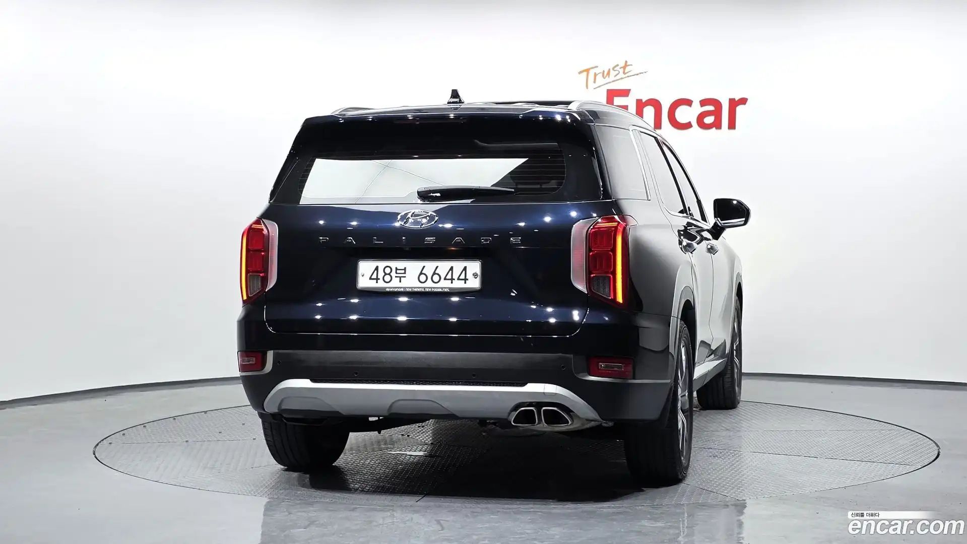 Palisade Hyundai 2019.6-OUTER-004
