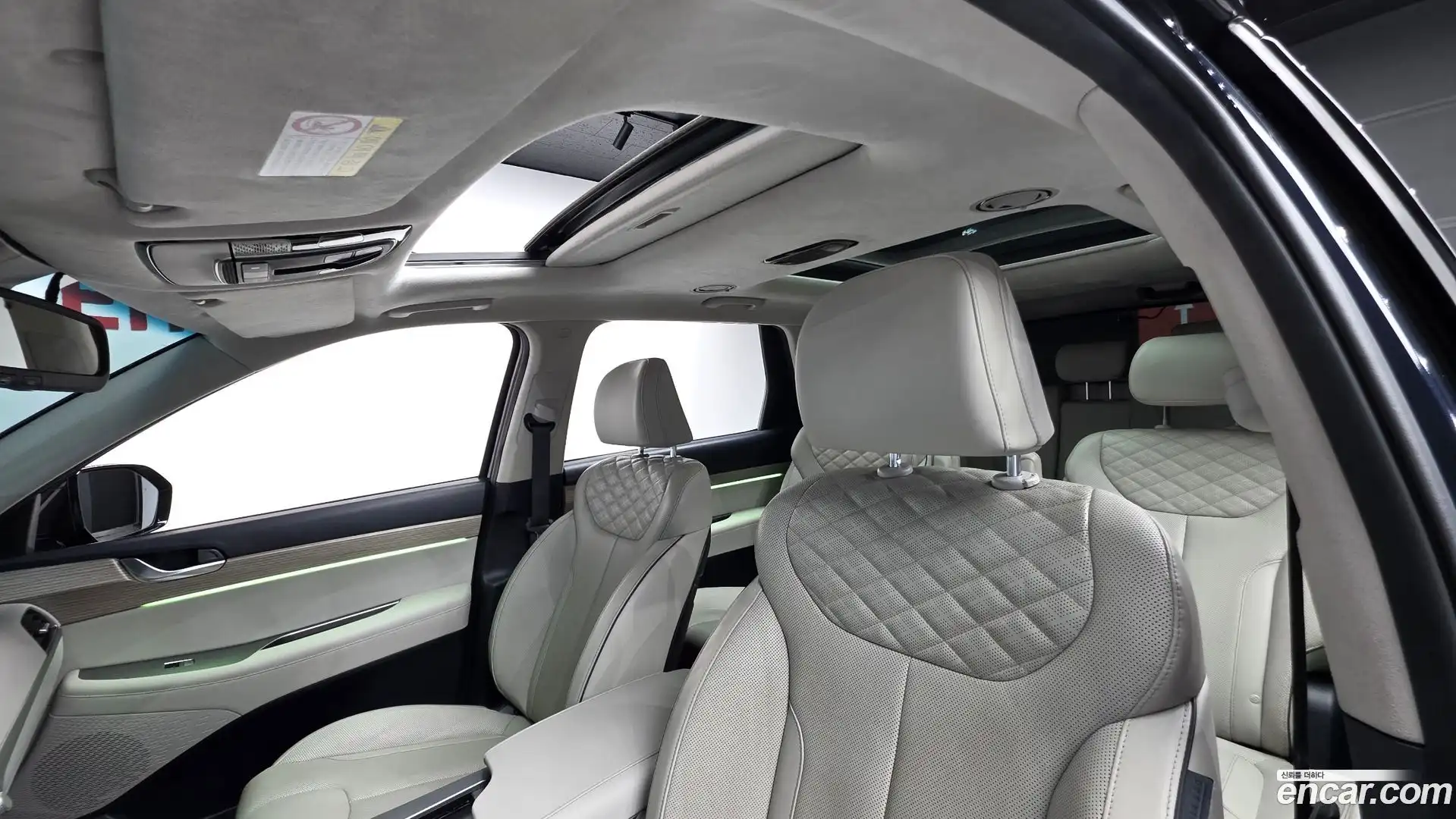 Palisade Hyundai 2019.6-OPTION-021