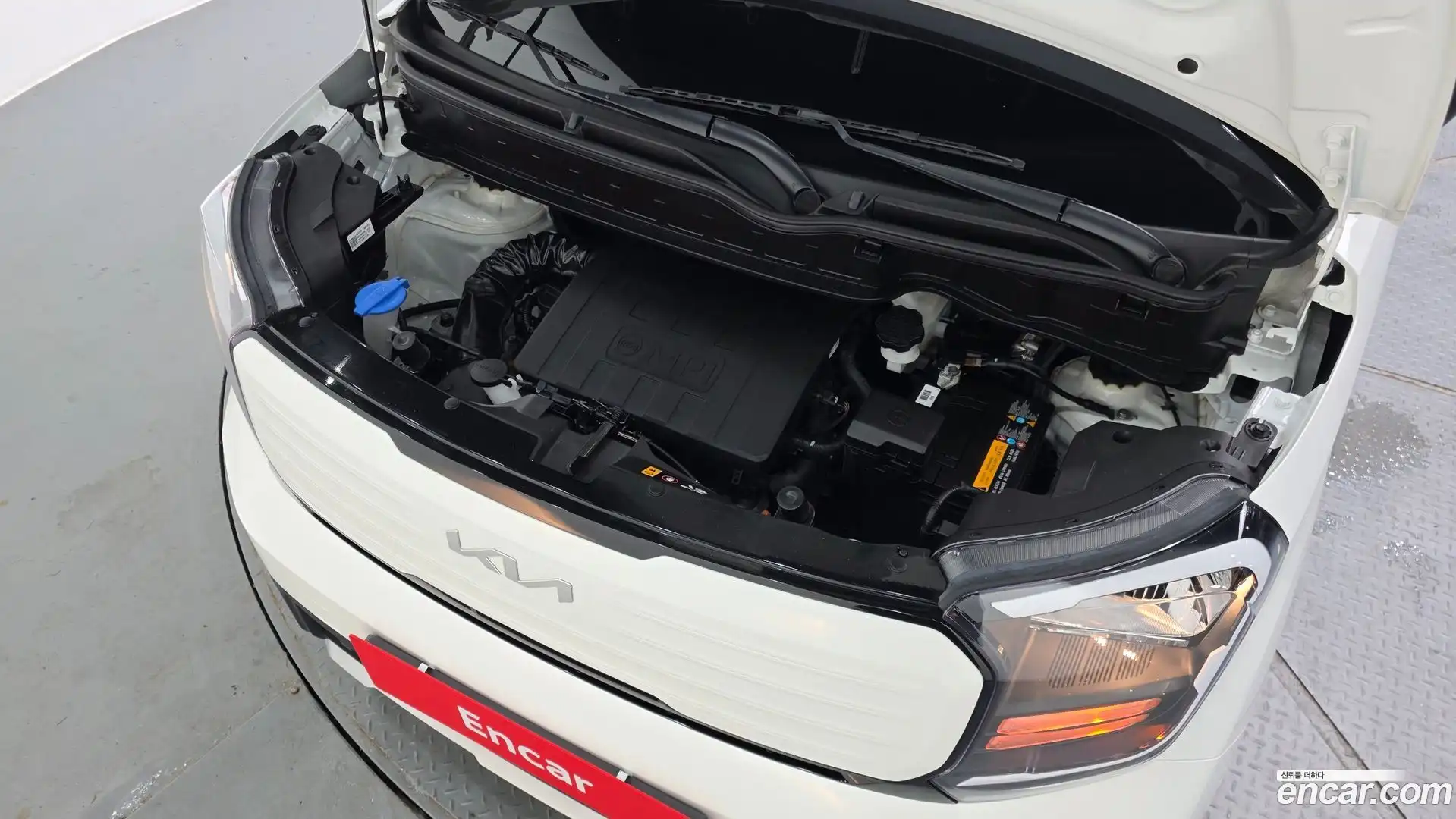 RAY Kia 2024.11-OUTER-006