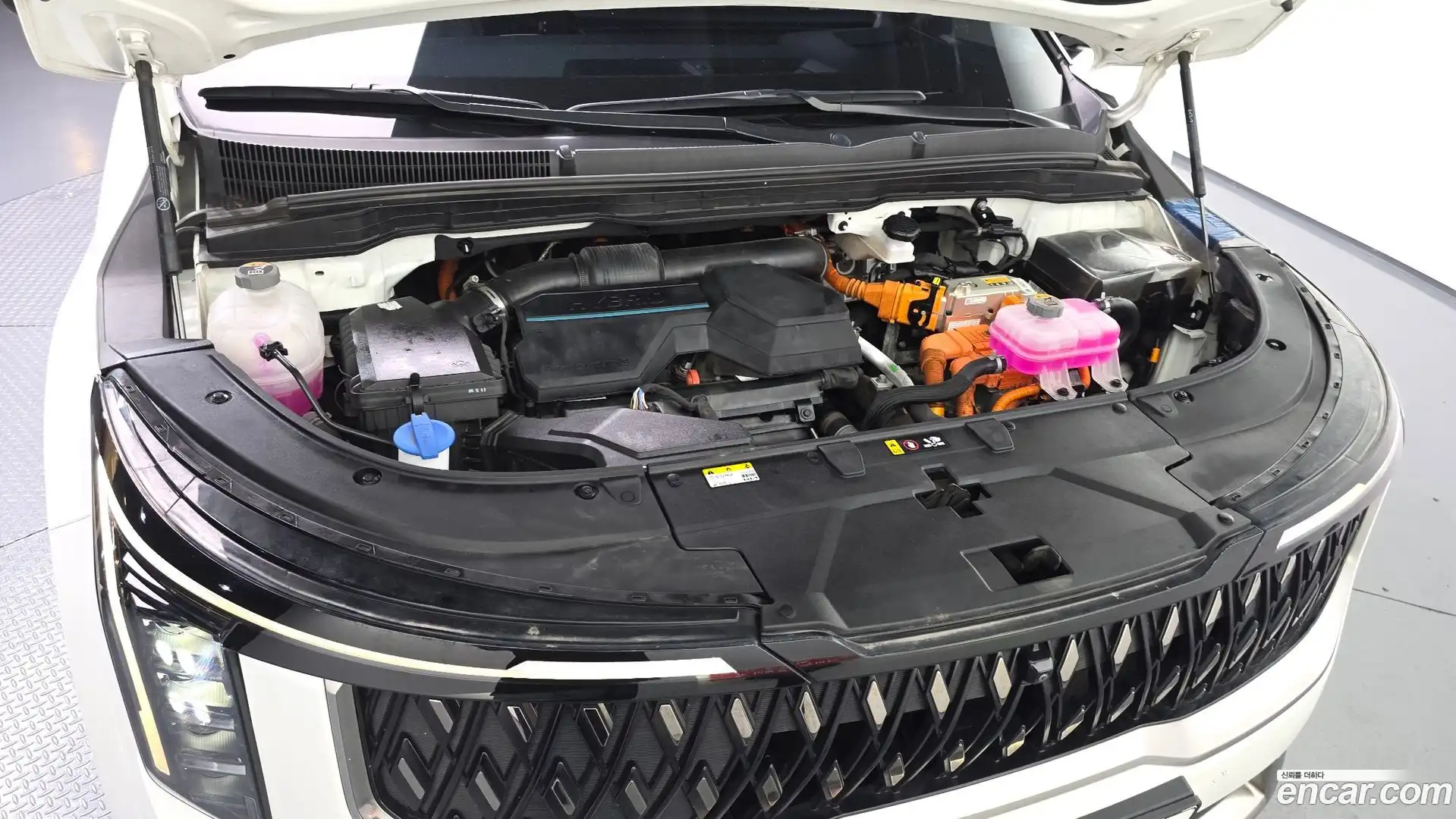 Canival Kia 2024.10-OUTER-006