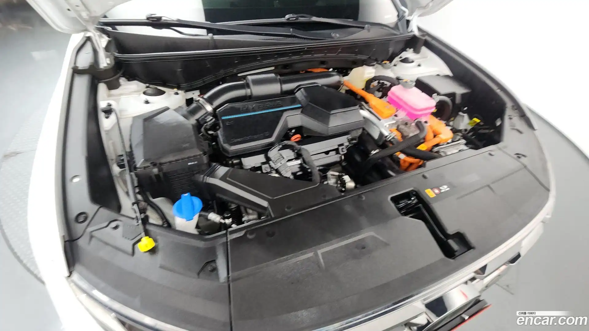 Tucson Hyundai 2024.5-OUTER-006