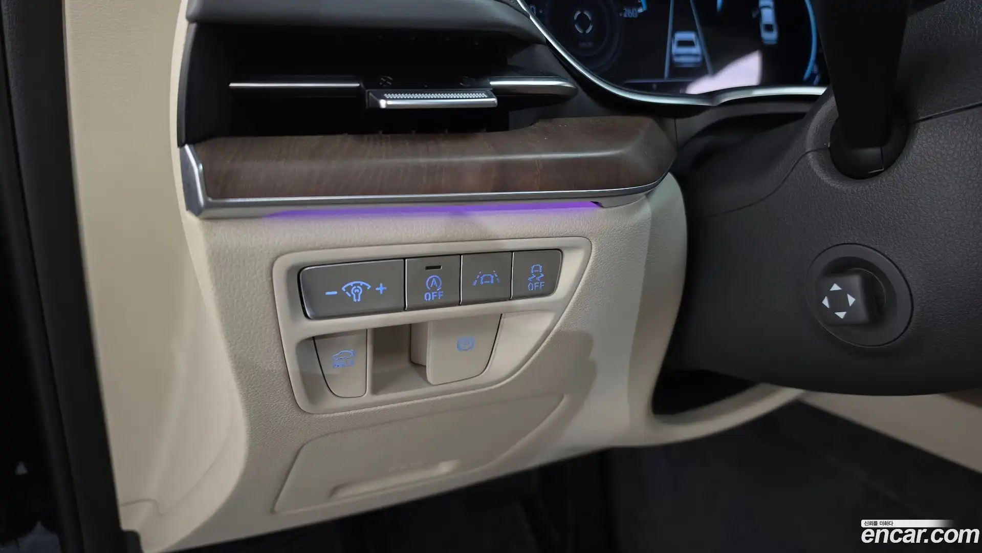G80 Genesis 2020.5-OPTION-042