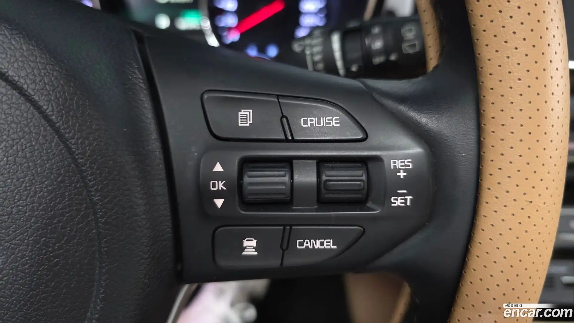 Canival Kia 2019.0-OPTION-022
