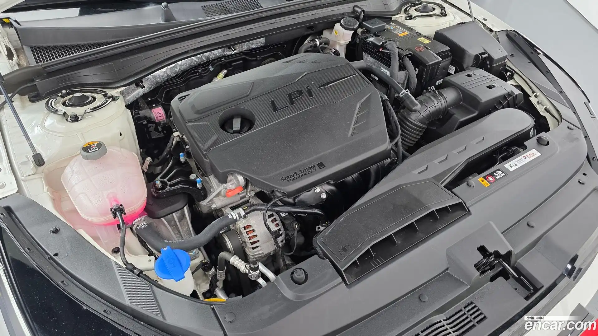 K5 Kia 2024.7-OUTER-006