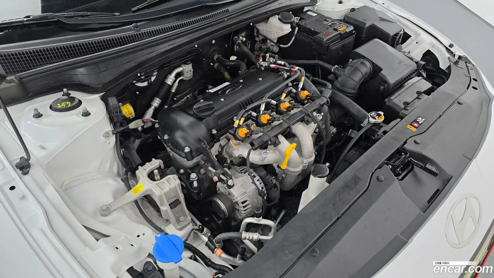 AVANTE Hyundai 2024.4-OUTER-006
