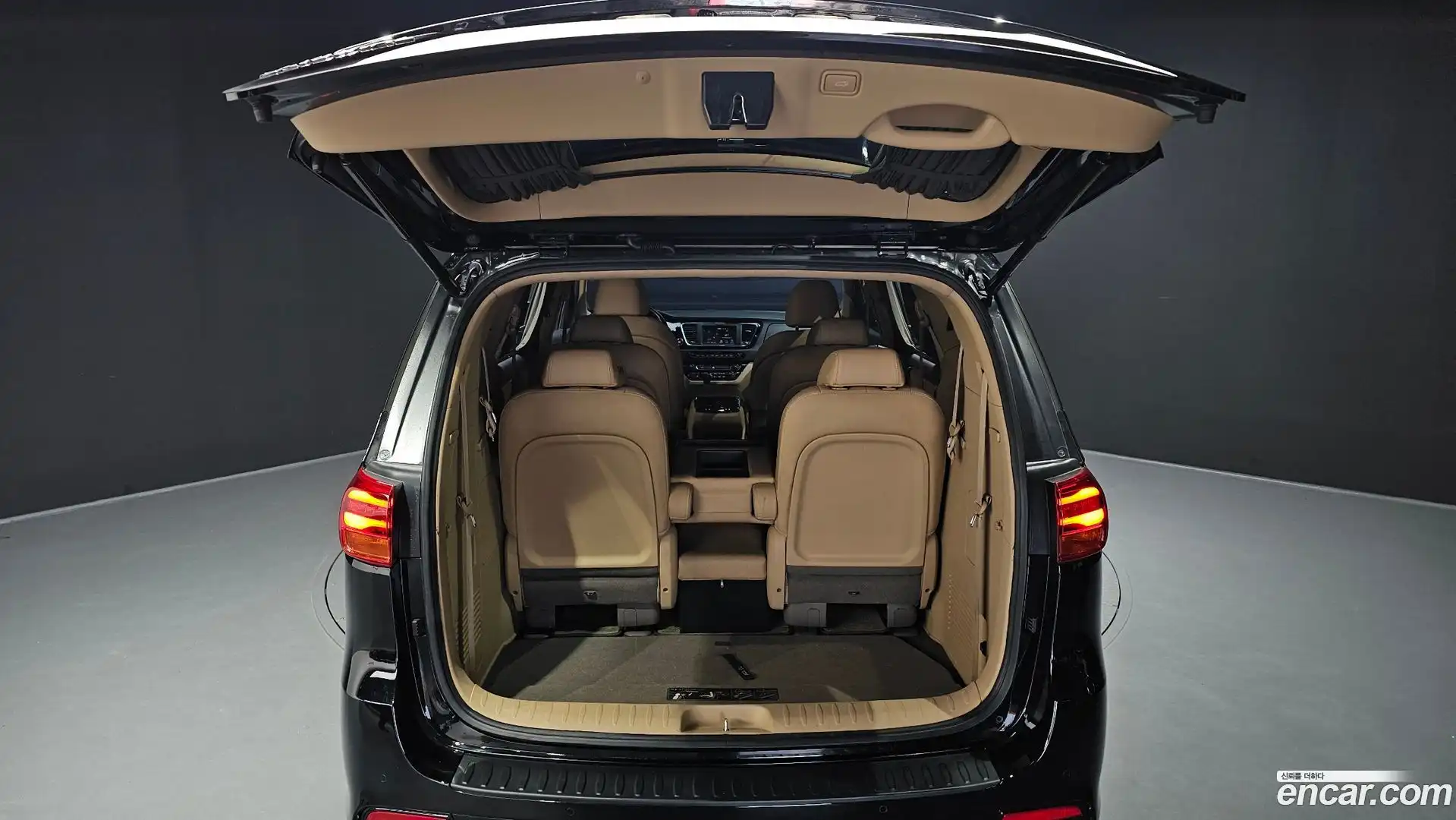 Canival Kia 2018.5-OPTION-024