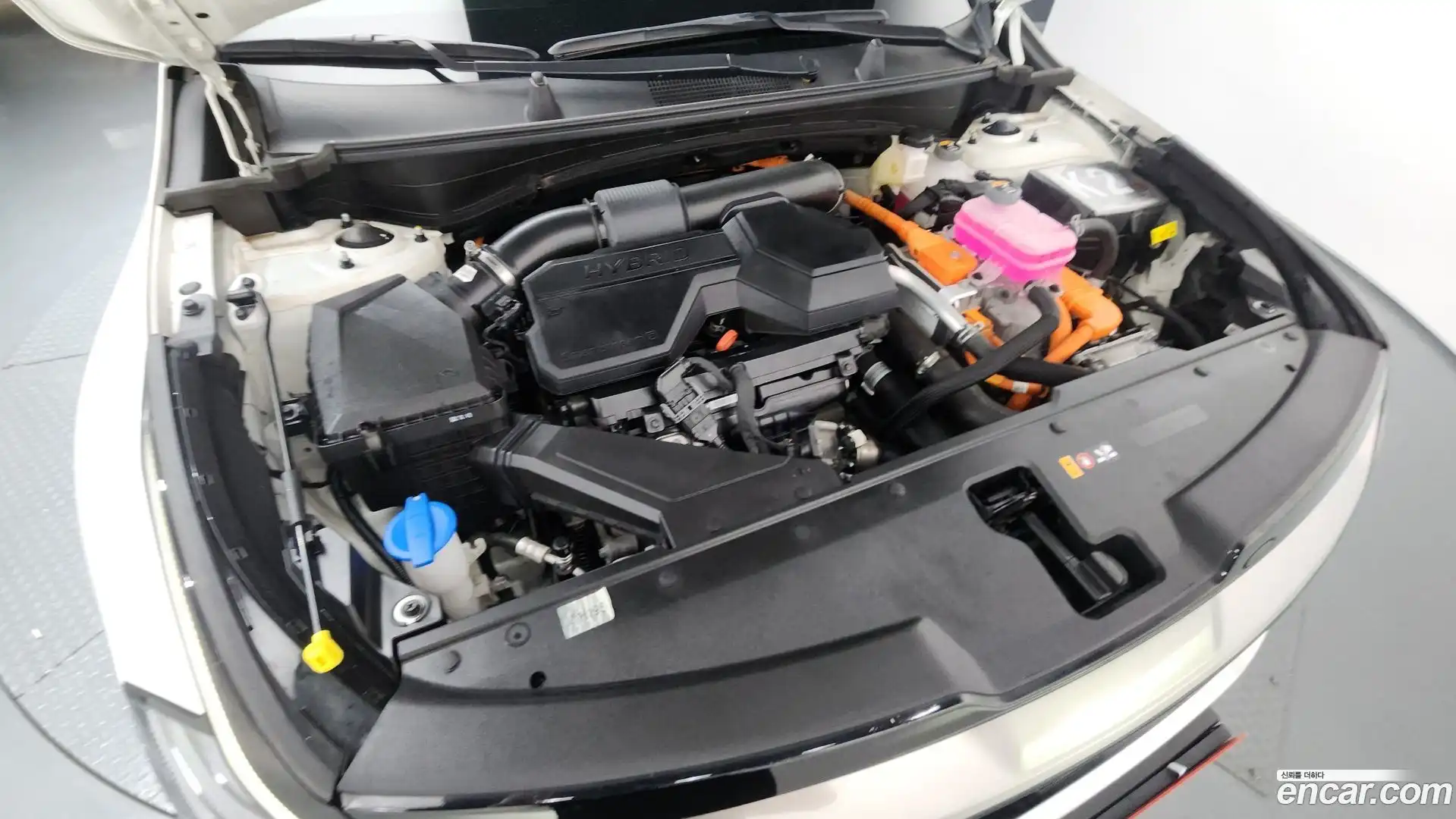 Sportage Kia 2024.11-OUTER-006