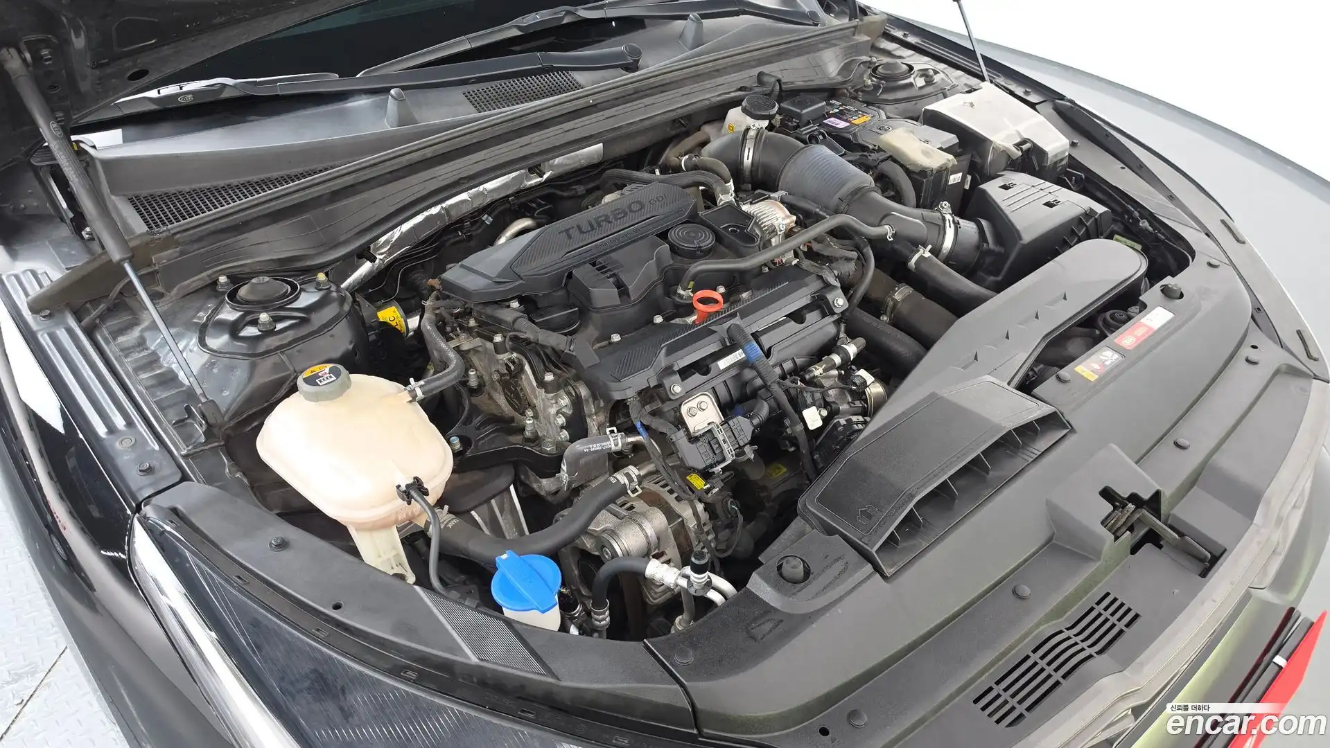 K5 Kia 2021.7-OUTER-006