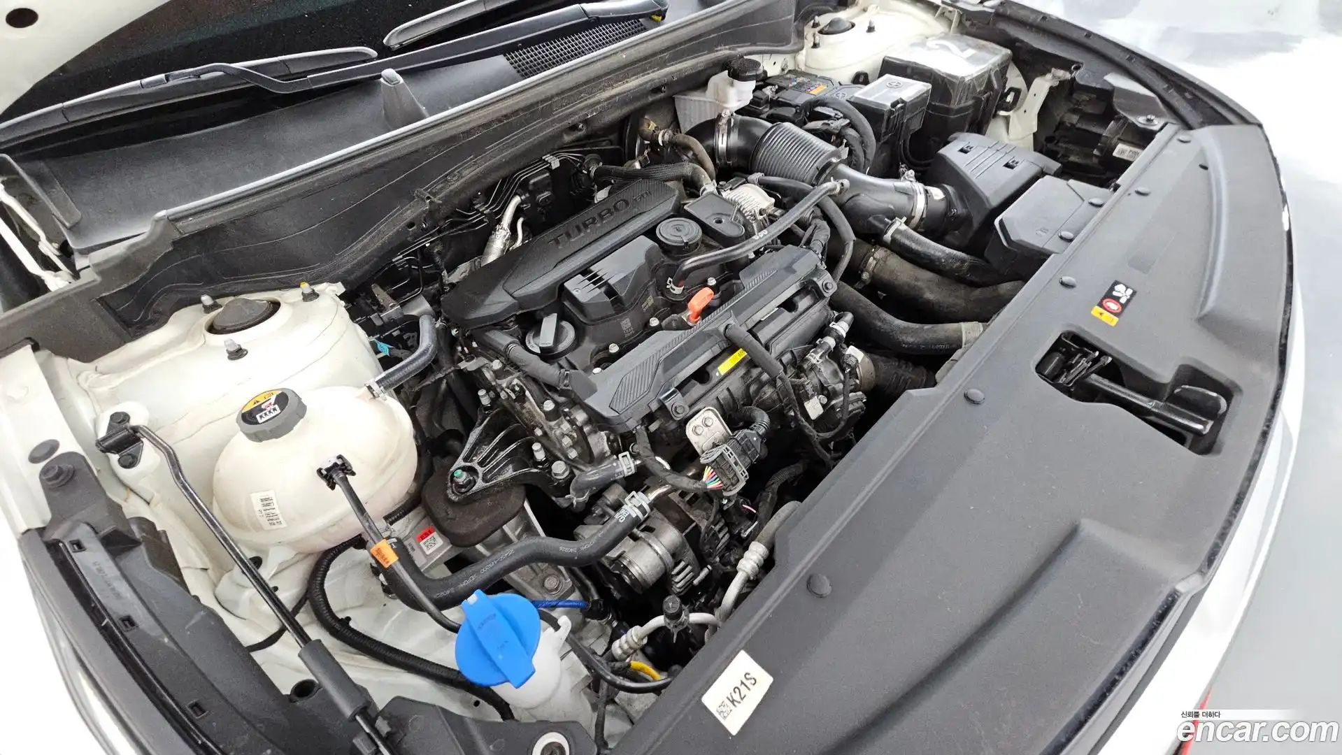 Sportage Kia 2024.2-OUTER-006