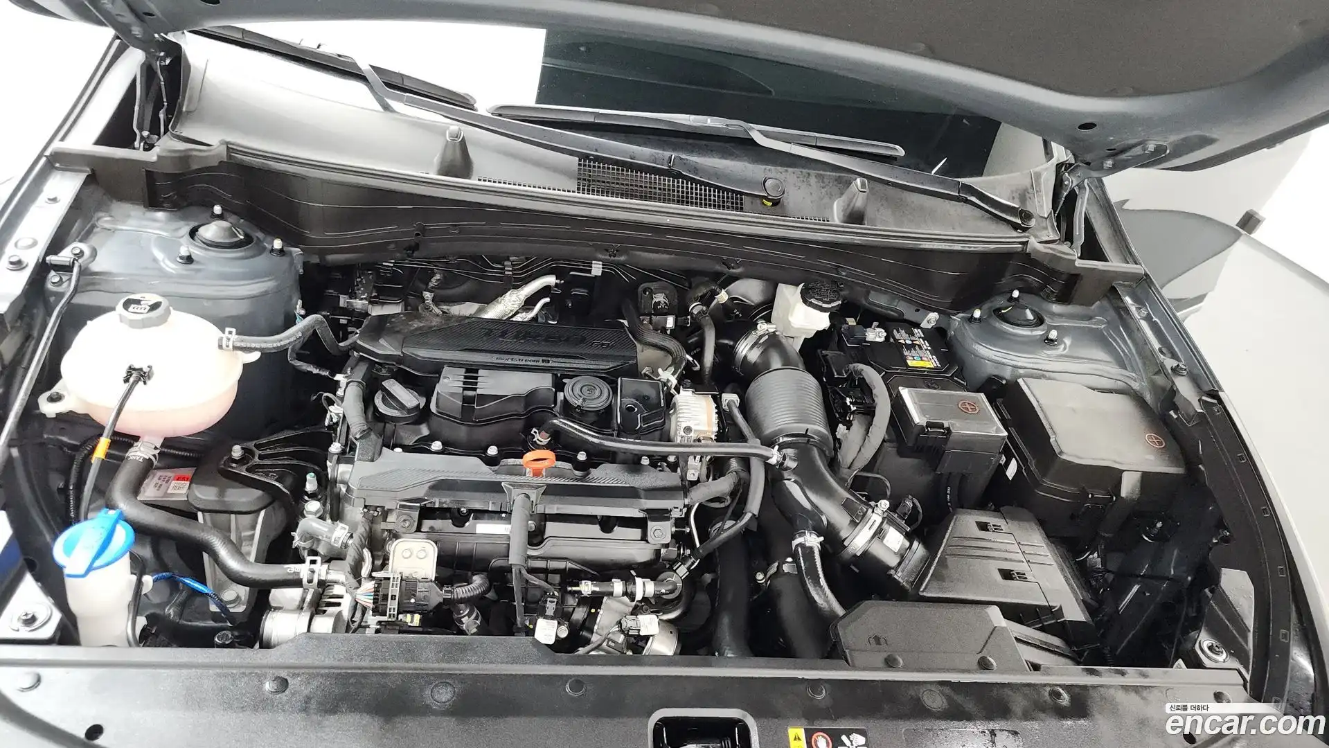 Sportage Kia 2024.0-OUTER-006