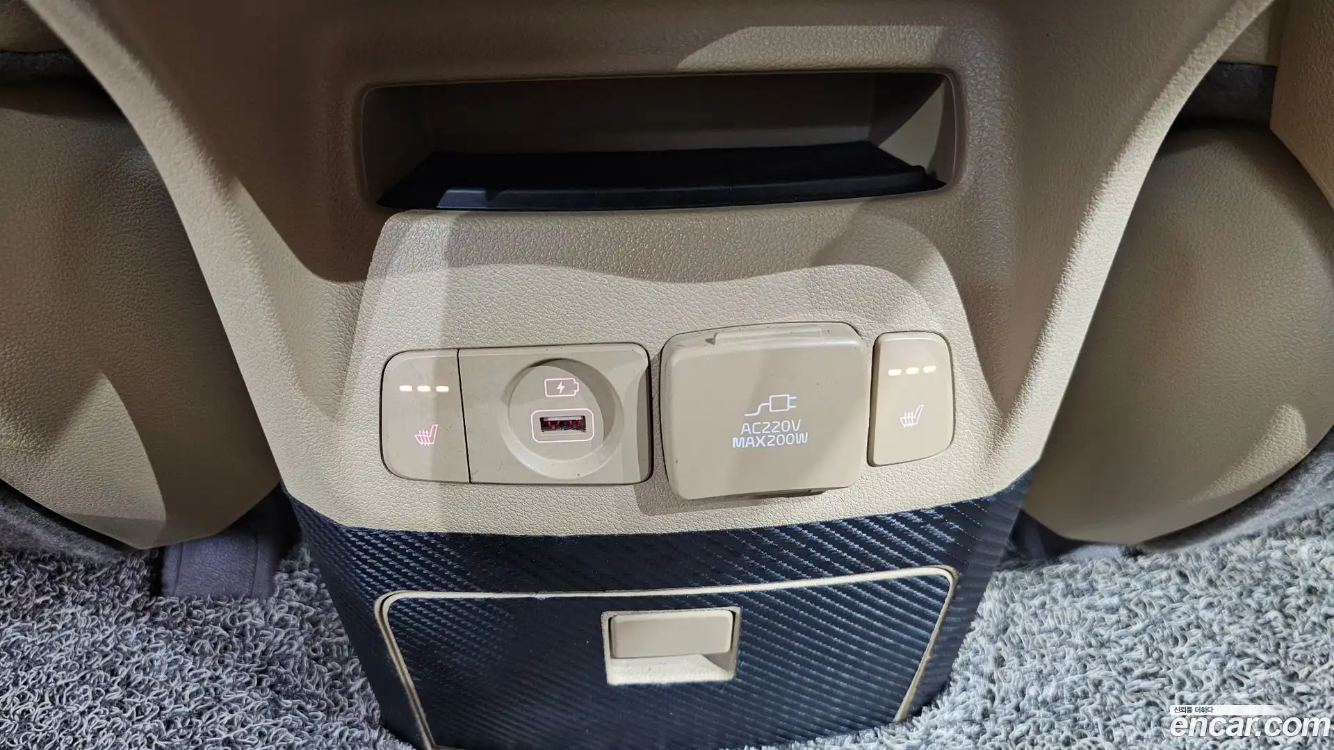 Canival Kia 2019.2-OPTION-021