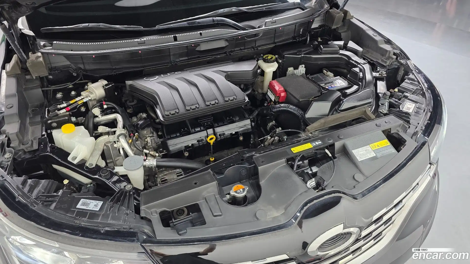 QM6 Renault Korea 2020.2-OUTER-006