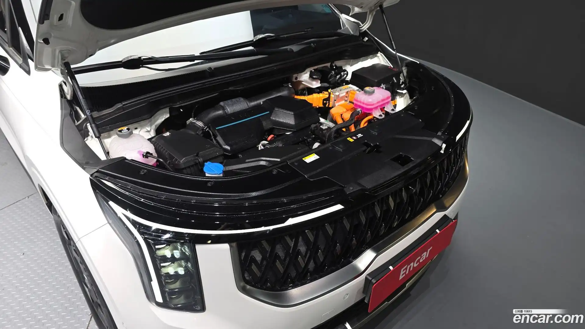 Canival Kia 2024.6-OUTER-006
