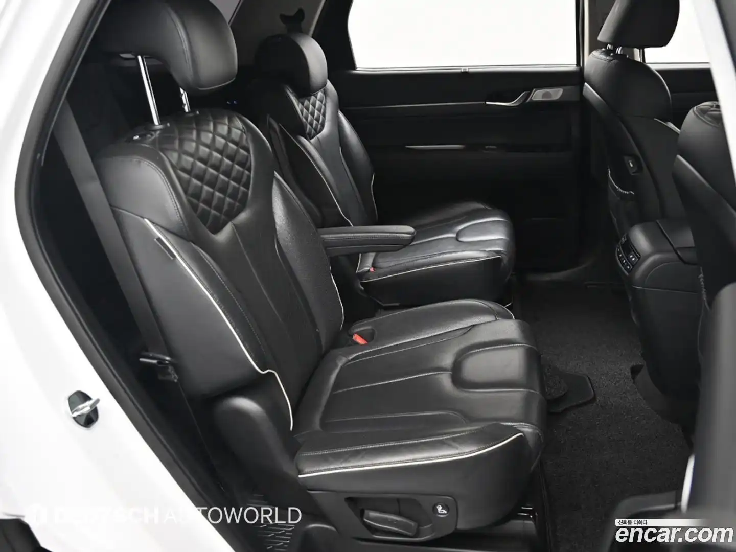 Palisade Hyundai 2020.4-OPTION-021