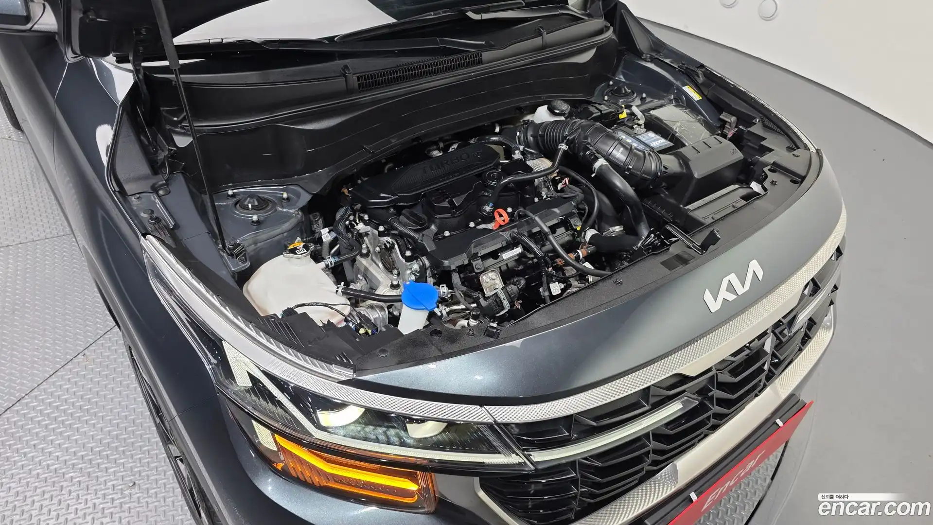 Seltos Kia 2023.6-OUTER-006