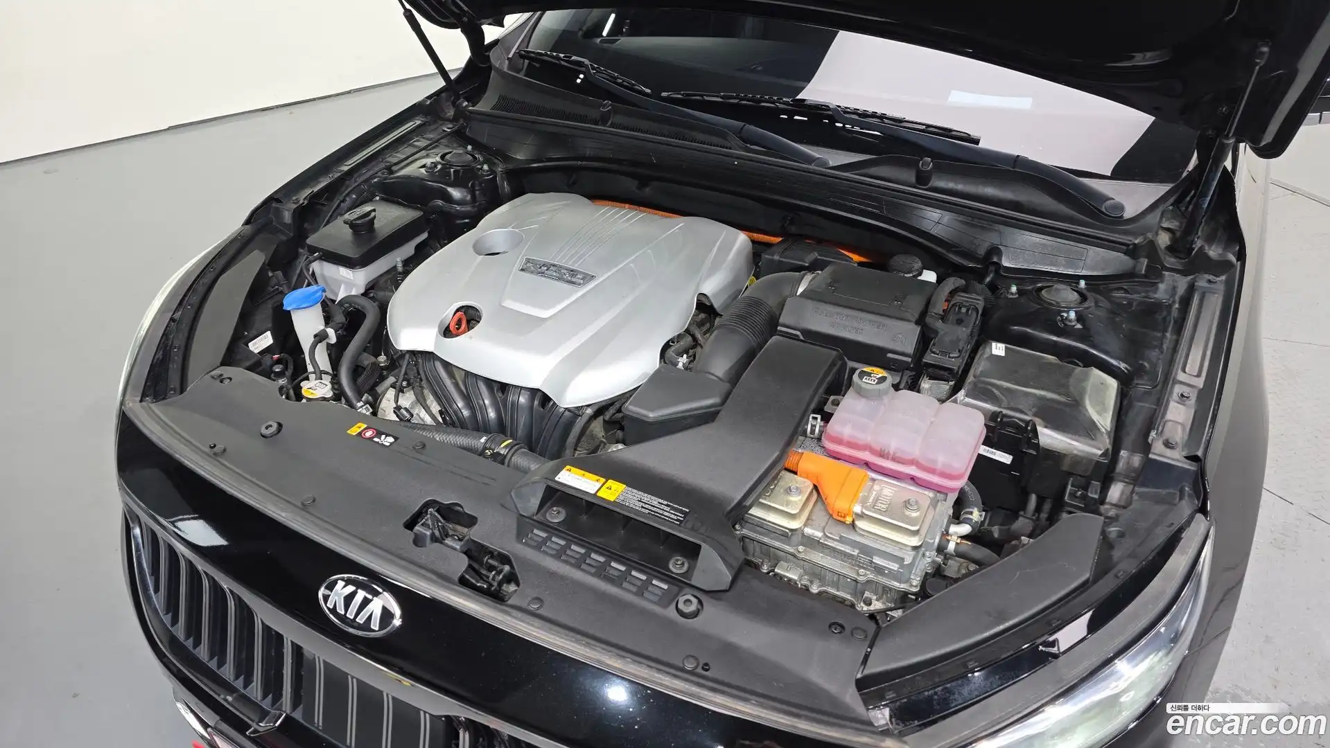 K7 Kia 2020.6-OUTER-006