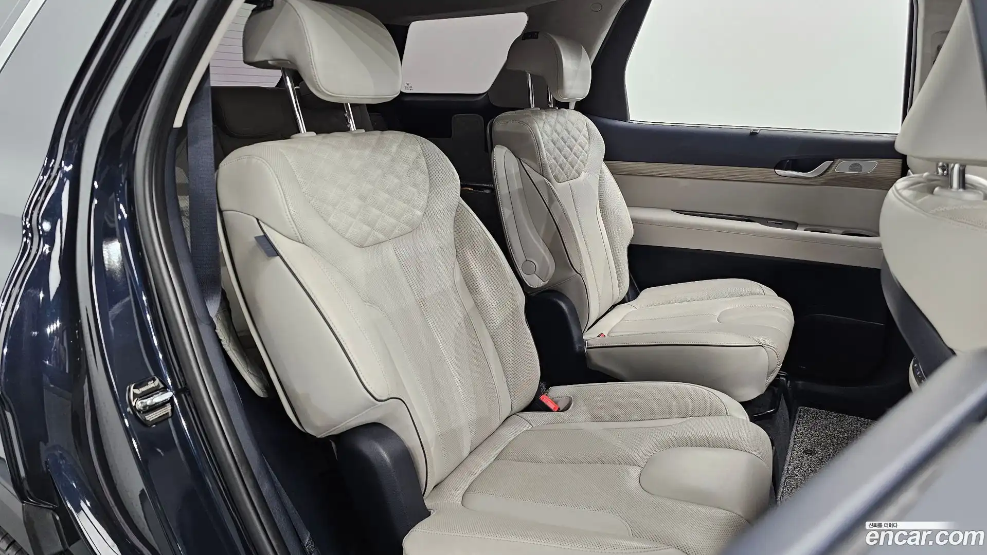 Palisade Hyundai 2019.3-OPTION-015