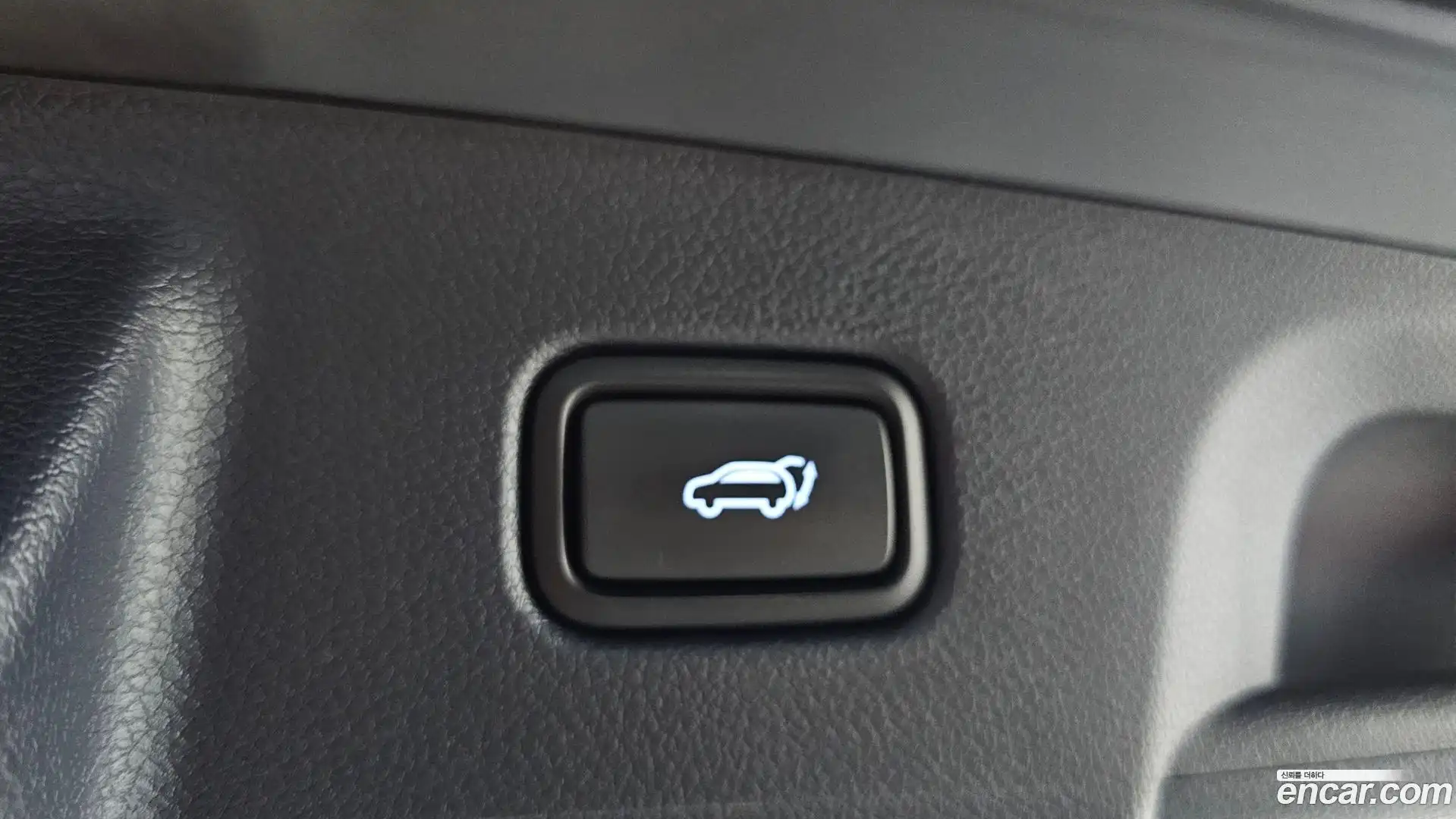 Palisade Hyundai 2019.3-OPTION-047