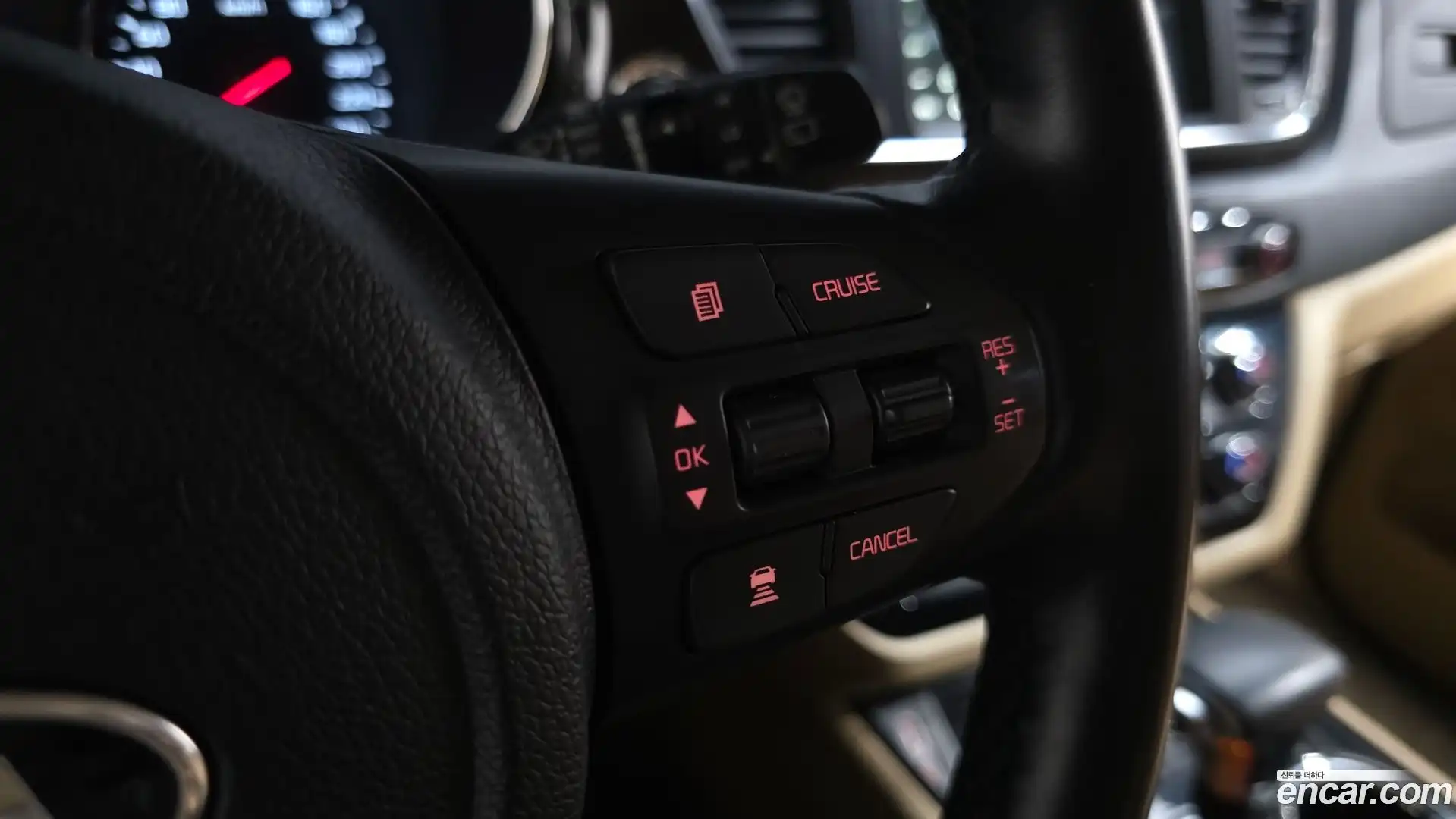 Canival Kia 2019.2-OPTION-019