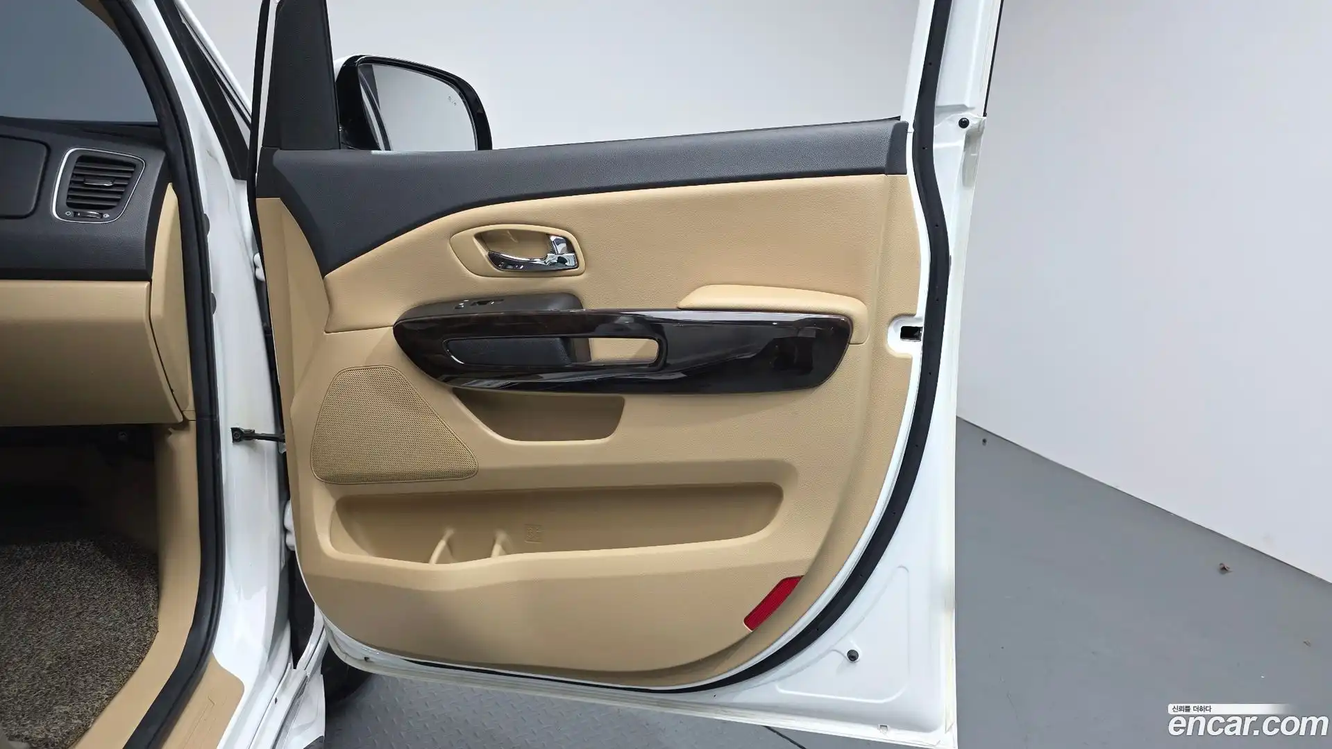 Canival Kia 2019.2-INNER-034