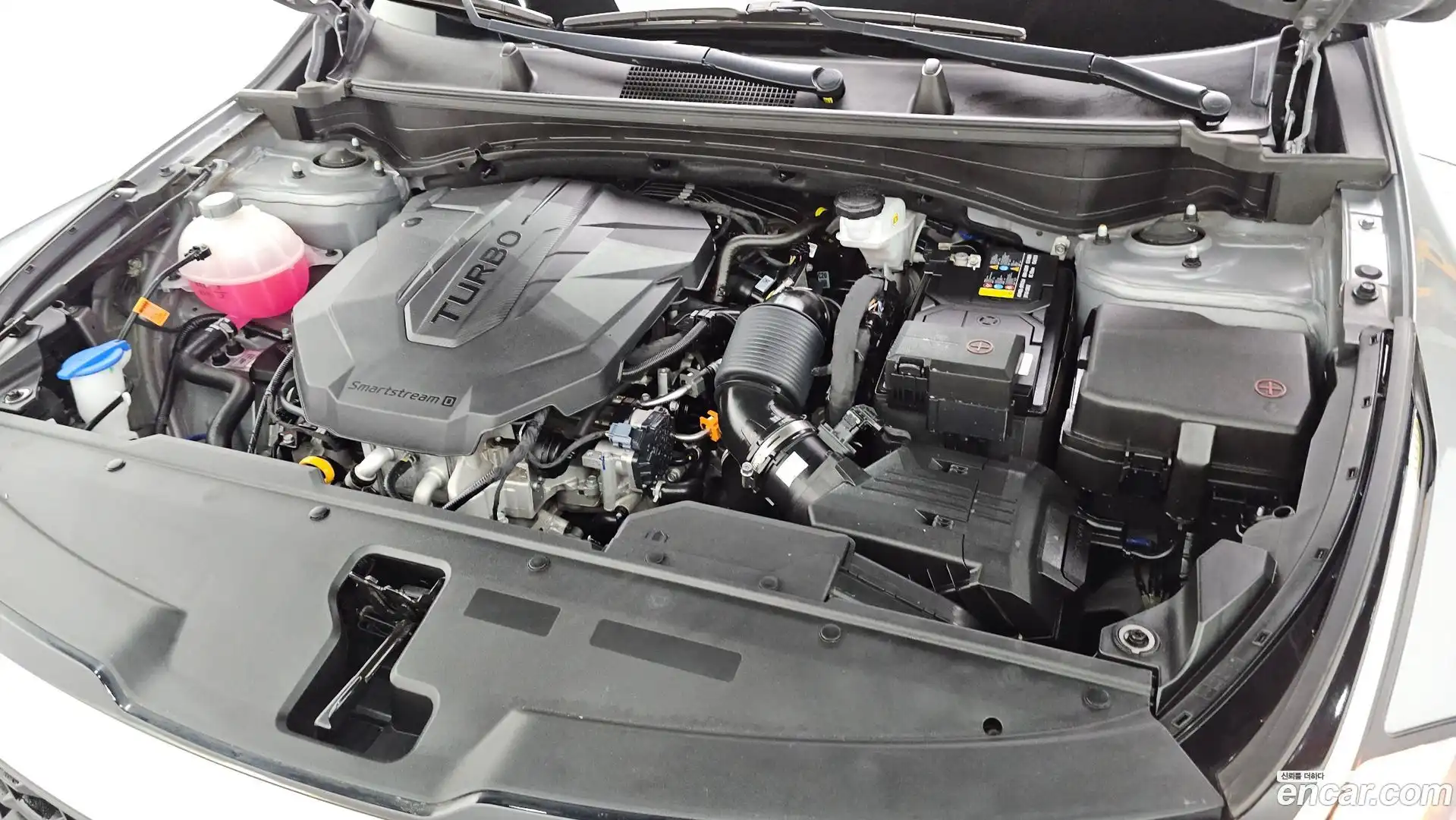 Sportage Kia 2023.1-OUTER-006