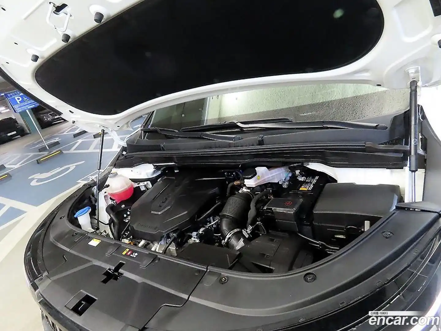 Canival Kia 2024.8-OPTION-023