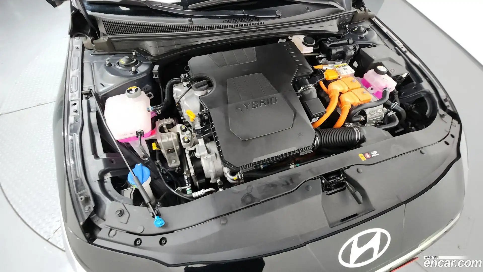 AVANTE Hyundai 2024.6-OUTER-006