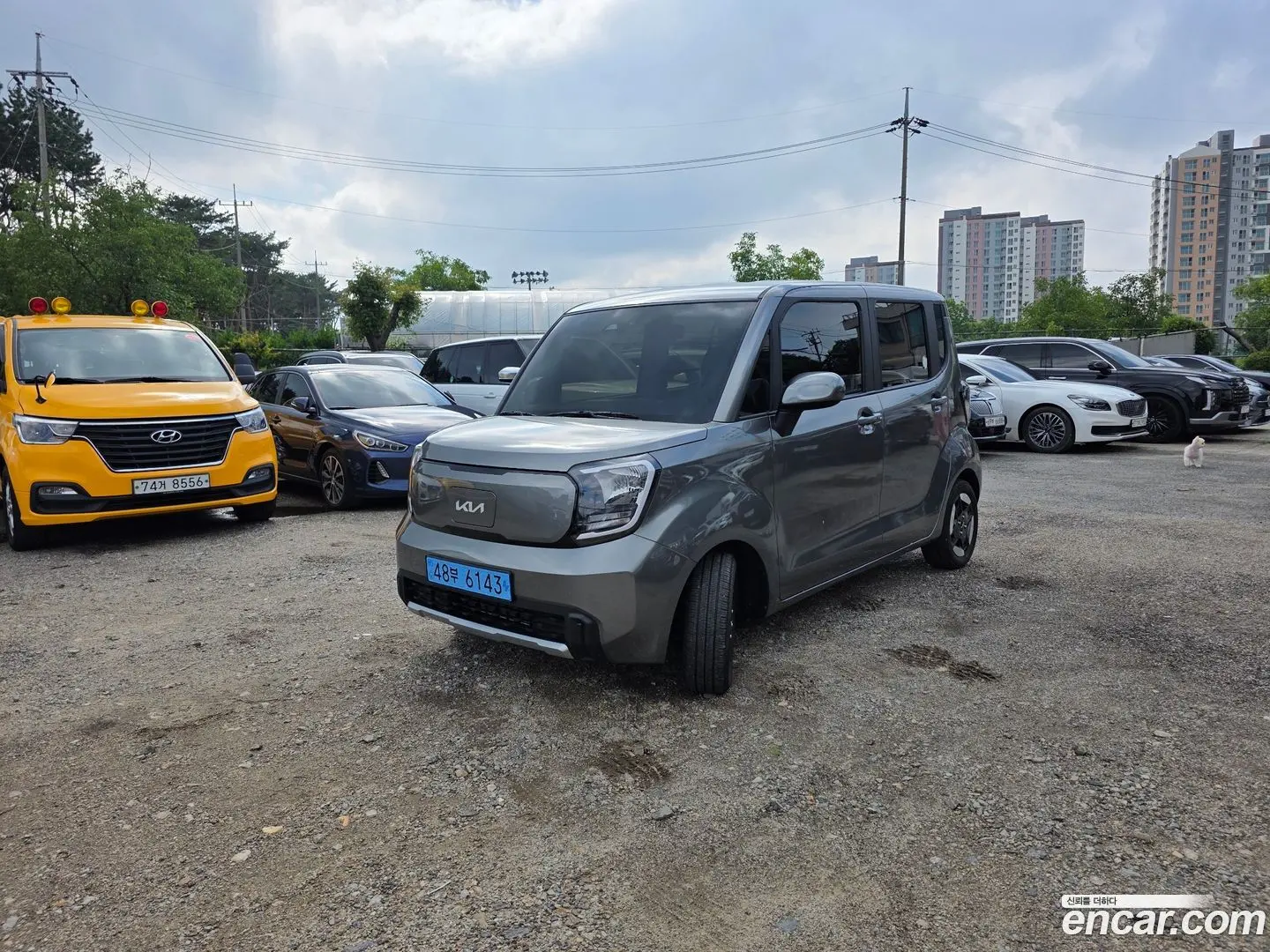 Main__Slider__Photo:RAY Kia 2024.6-0