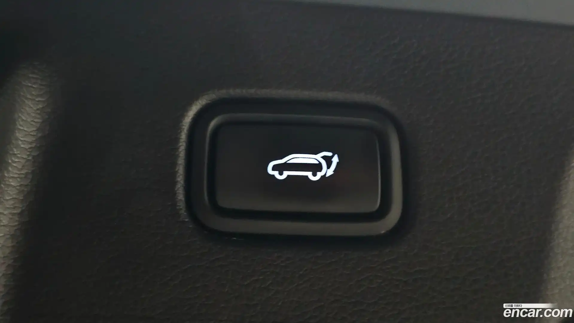 Palisade Hyundai 2023.11-OPTION-019