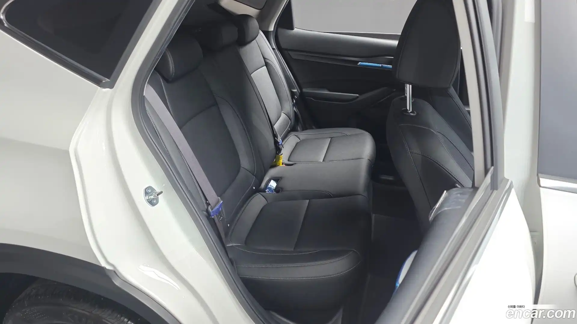 Seltos Kia 2025.3-OPTION-015
