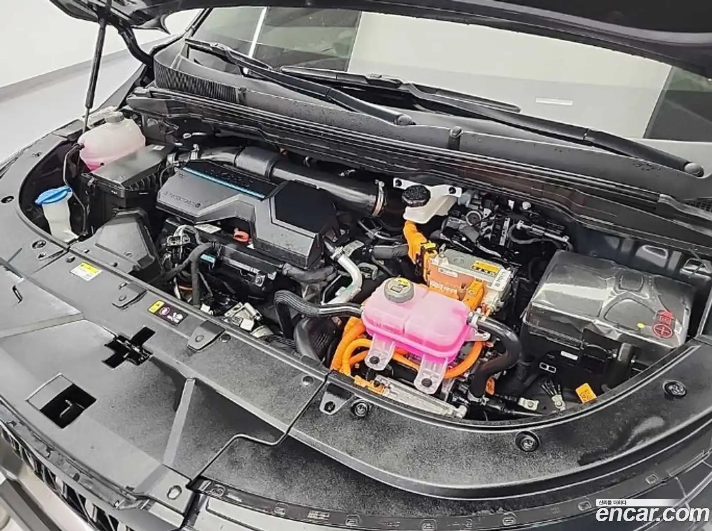 Canival Kia 2024.6-OUTER-005