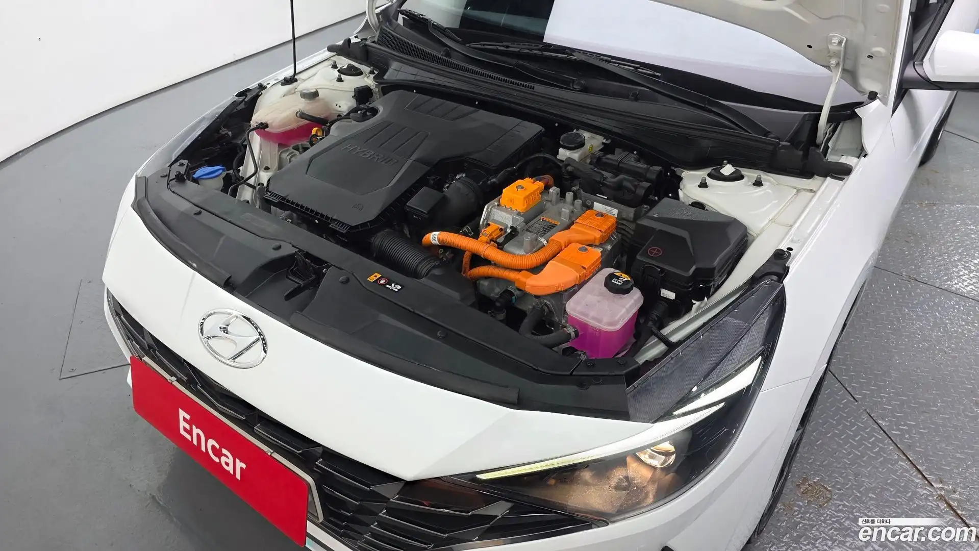 AVANTE Hyundai 2022.4-OUTER-006