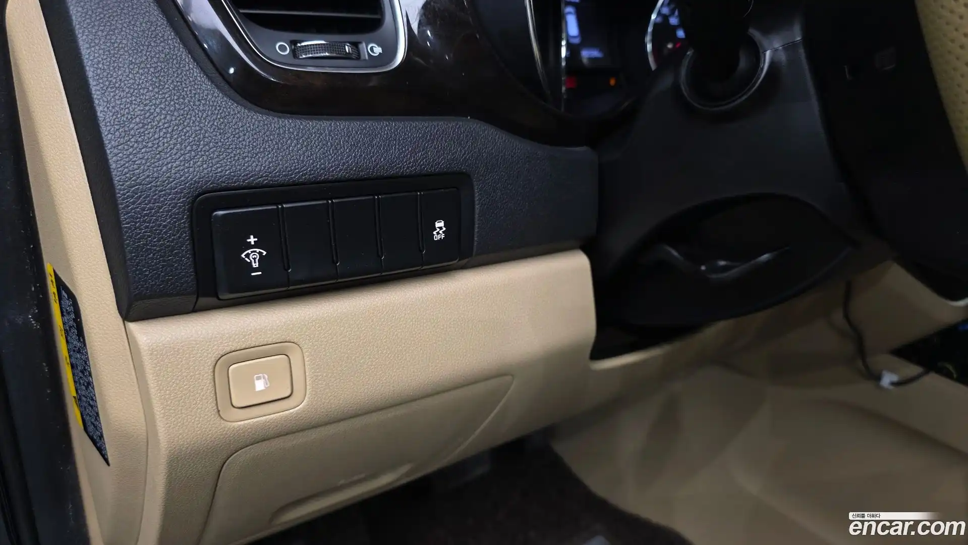 Canival Kia 2019.7-OPTION-016