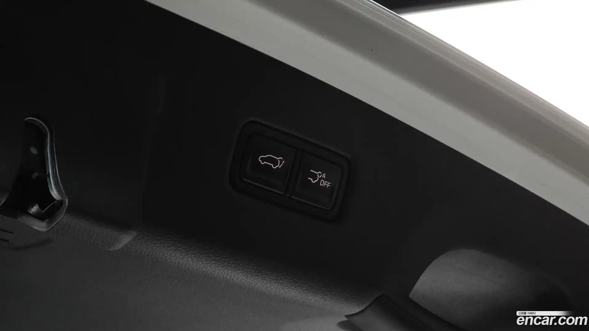 Canival Kia 2020.10-OPTION-024