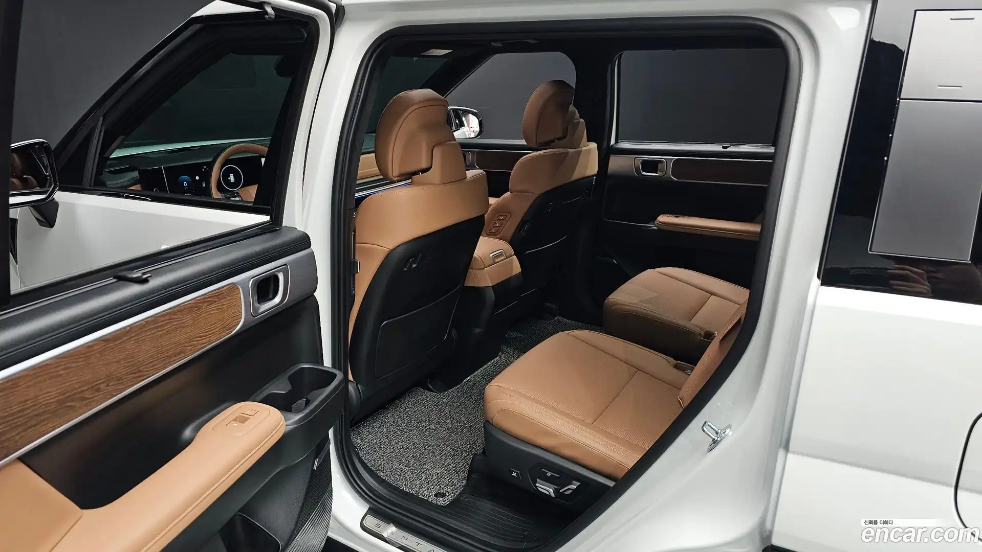 Santafe Hyundai 2025.11-OPTION-015
