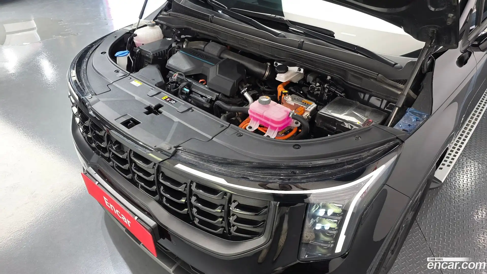 Canival Kia 2024.5-OUTER-006