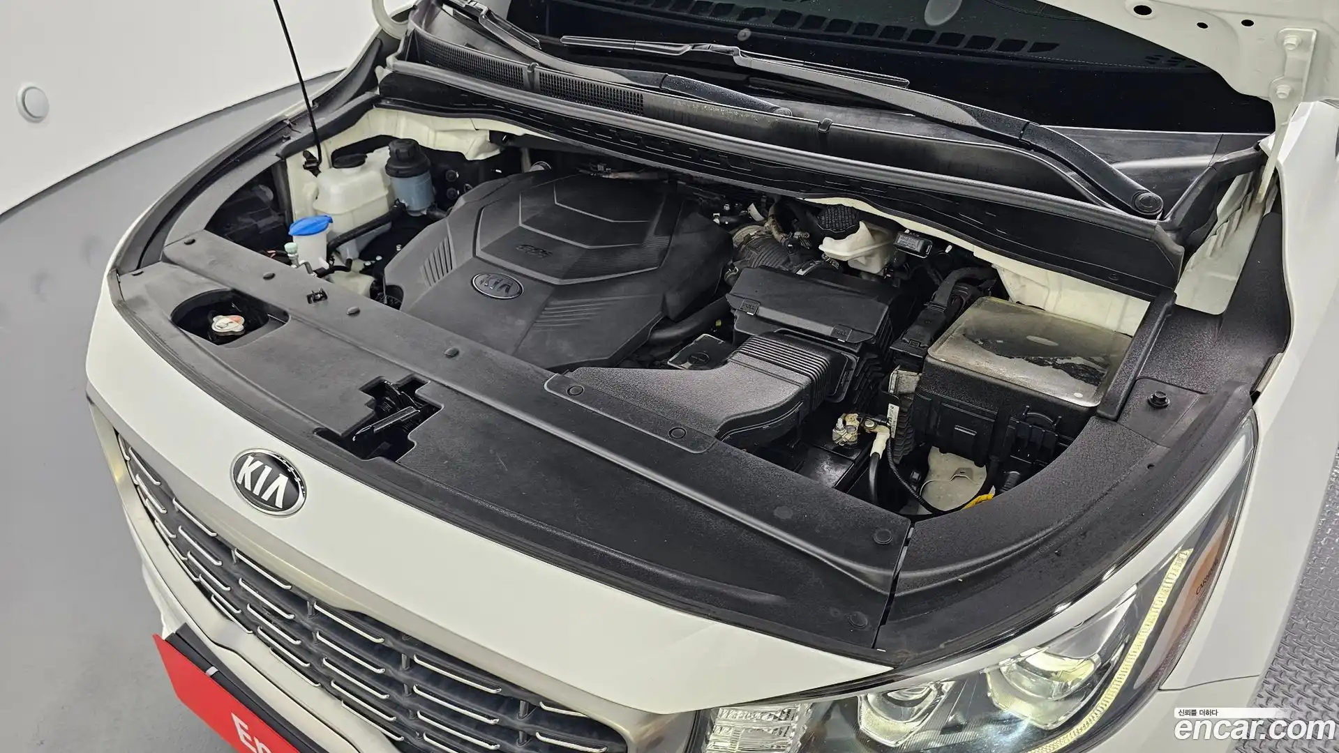 Canival Kia 2019.11-OUTER-006