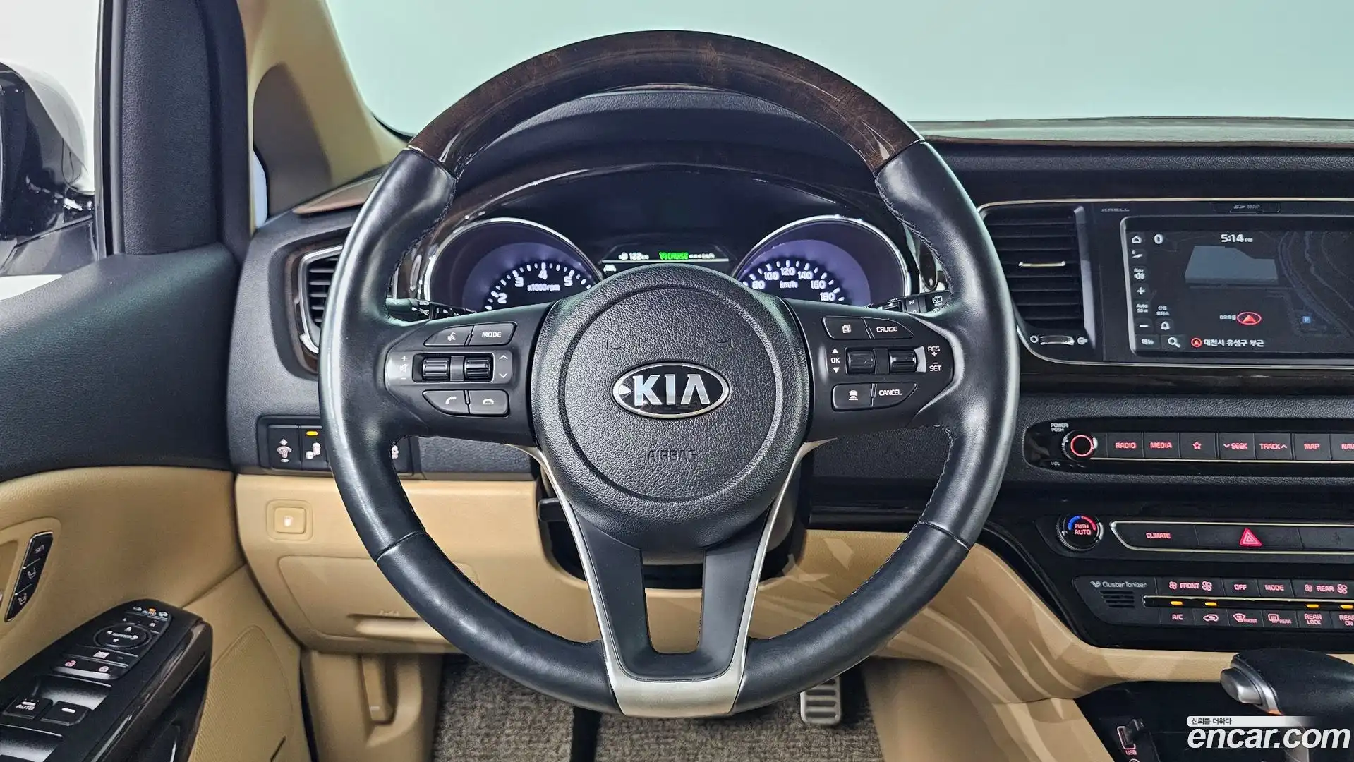 Canival Kia 2019.11-OPTION-017