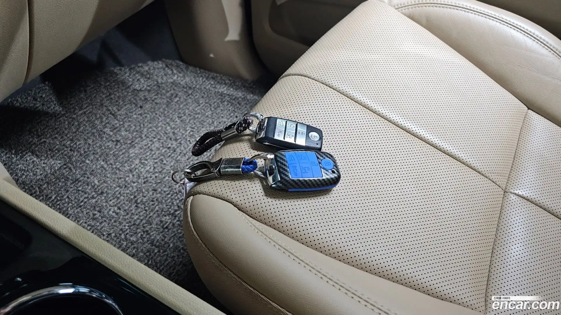 Canival Kia 2019.11-OPTION-019