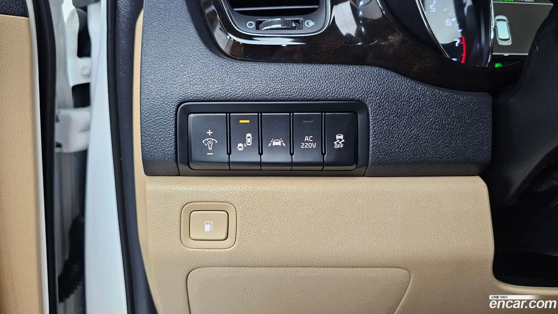 Canival Kia 2019.11-OPTION-023