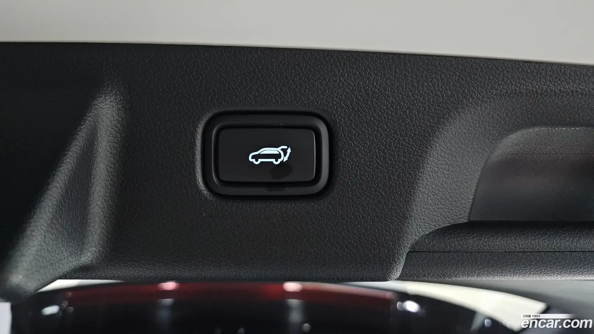Palisade Hyundai 2020.6-OPTION-024