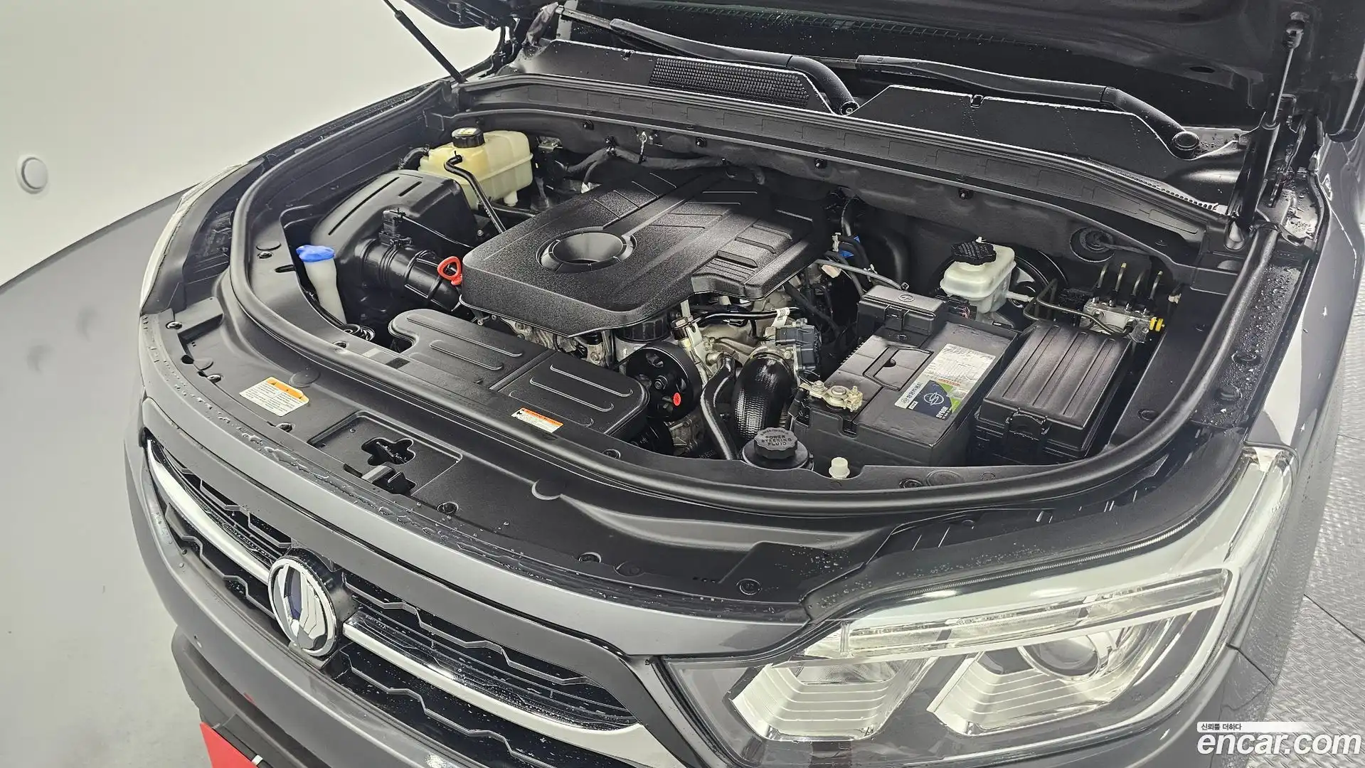Rexton KG Mobility 2019.0-OUTER-006
