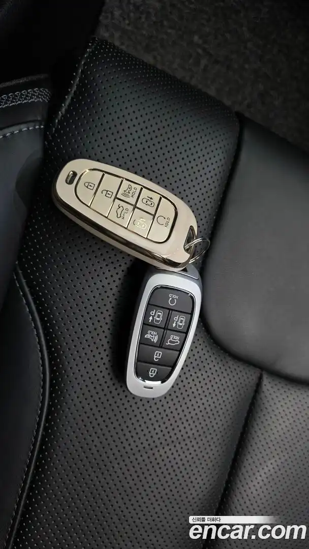 Santafe Hyundai 2021.11-OPTION-045
