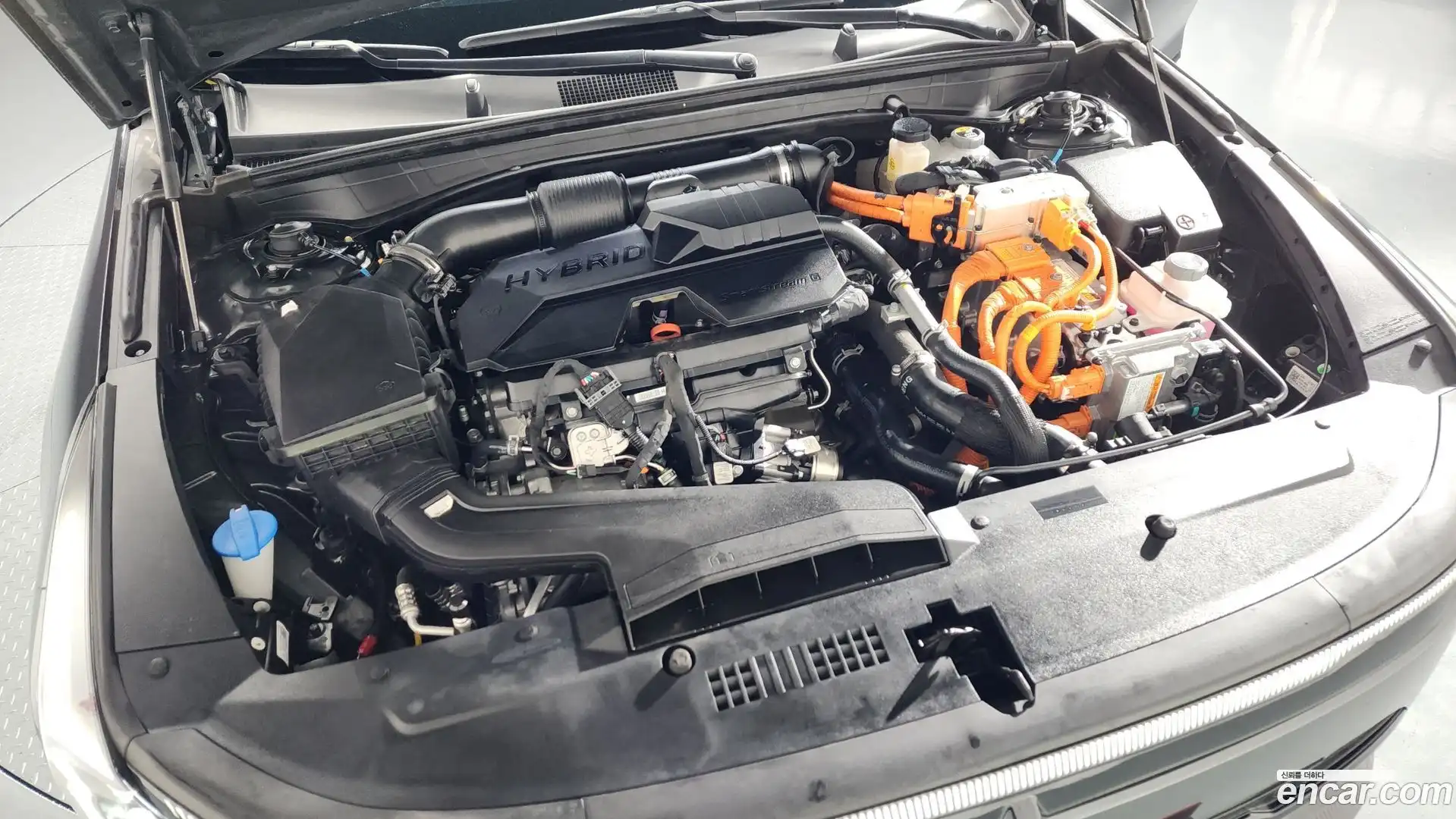 K8 Kia 2024.9-OUTER-006