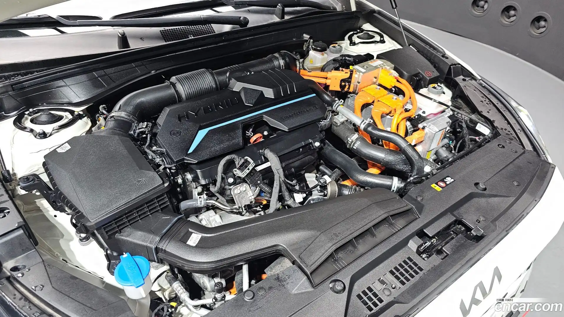 K8 Kia 2024.5-OUTER-006