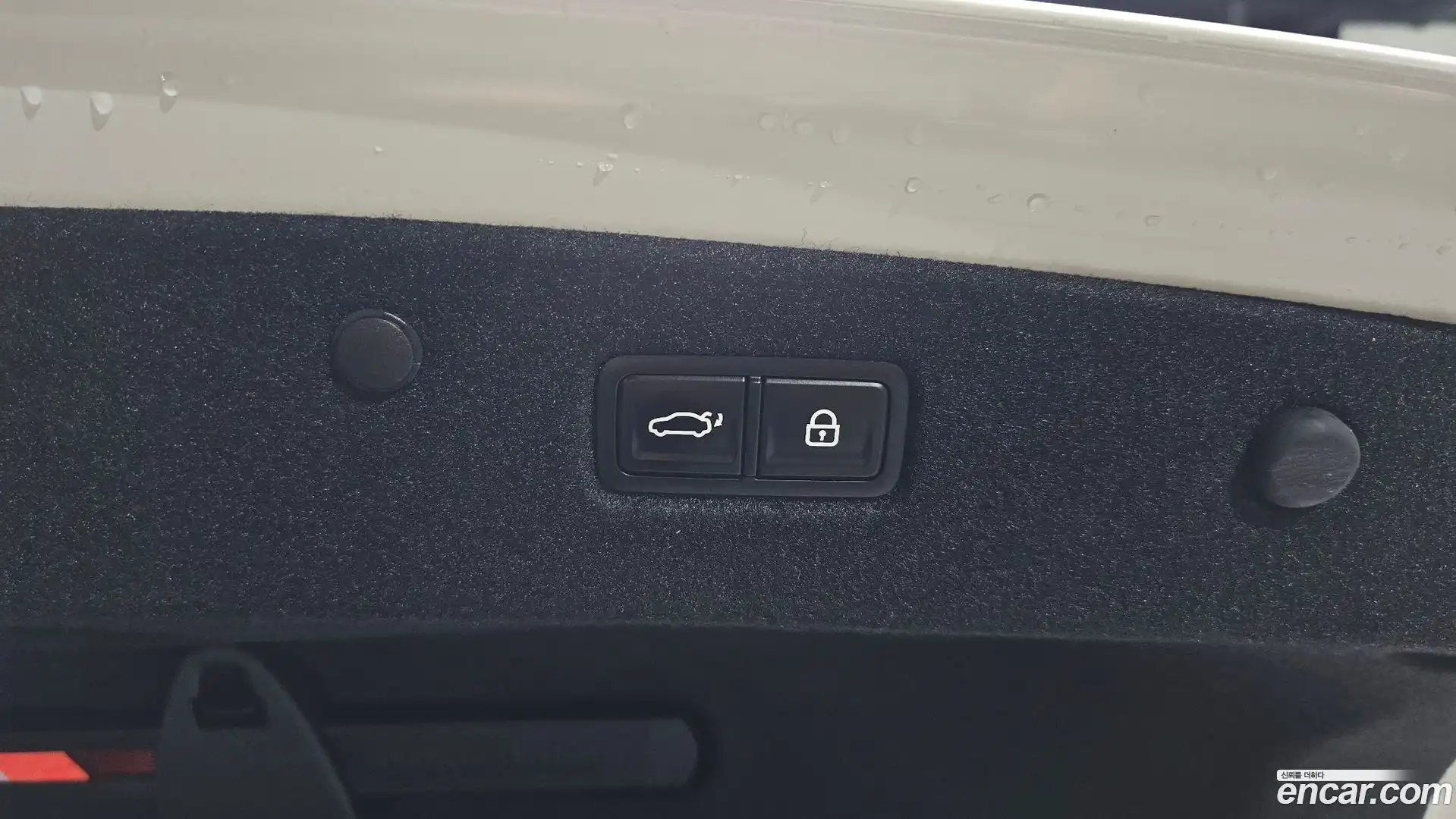 K8 Kia 2024.5-OPTION-051