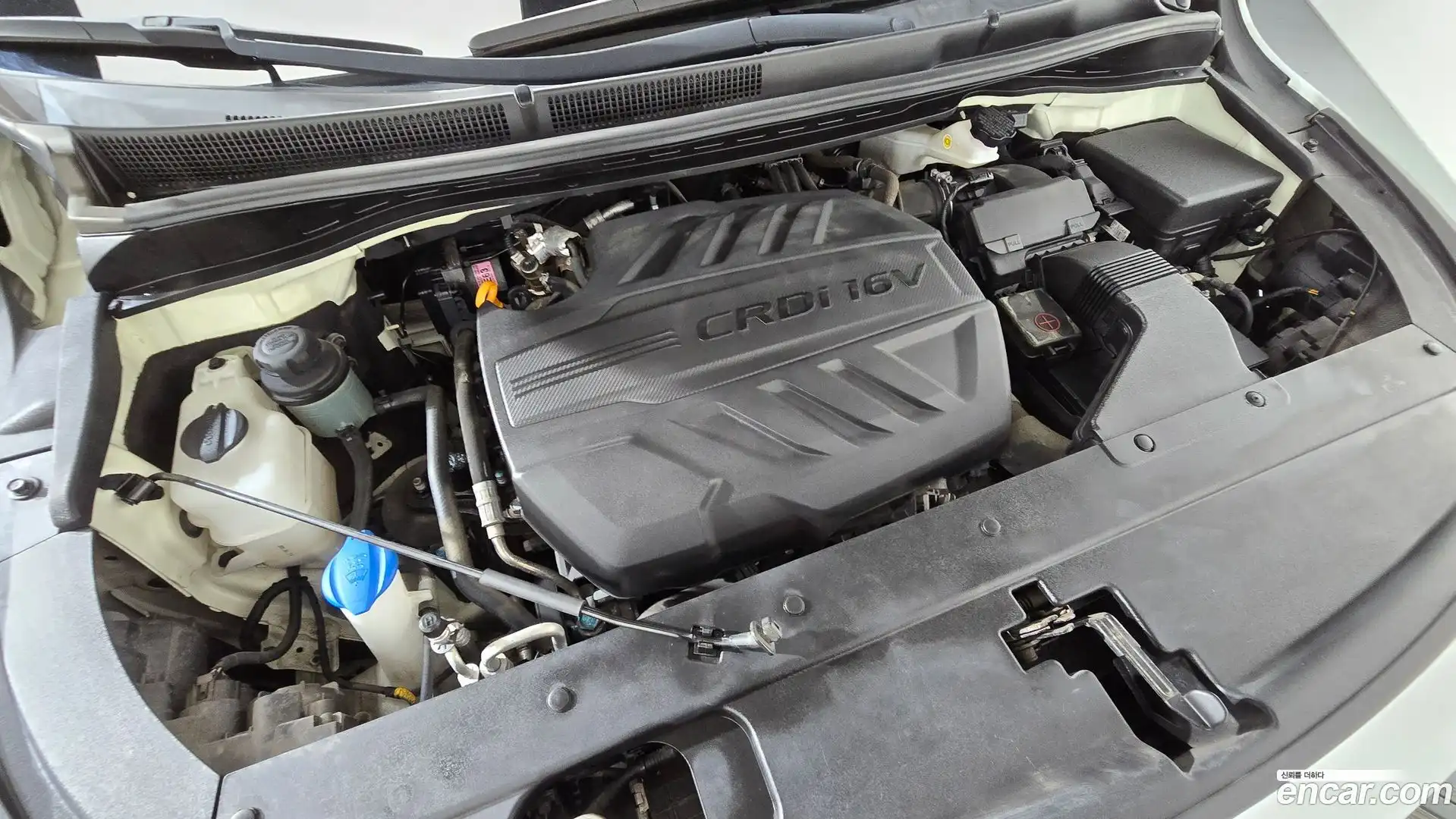 Canival Kia 2019.6-OUTER-006