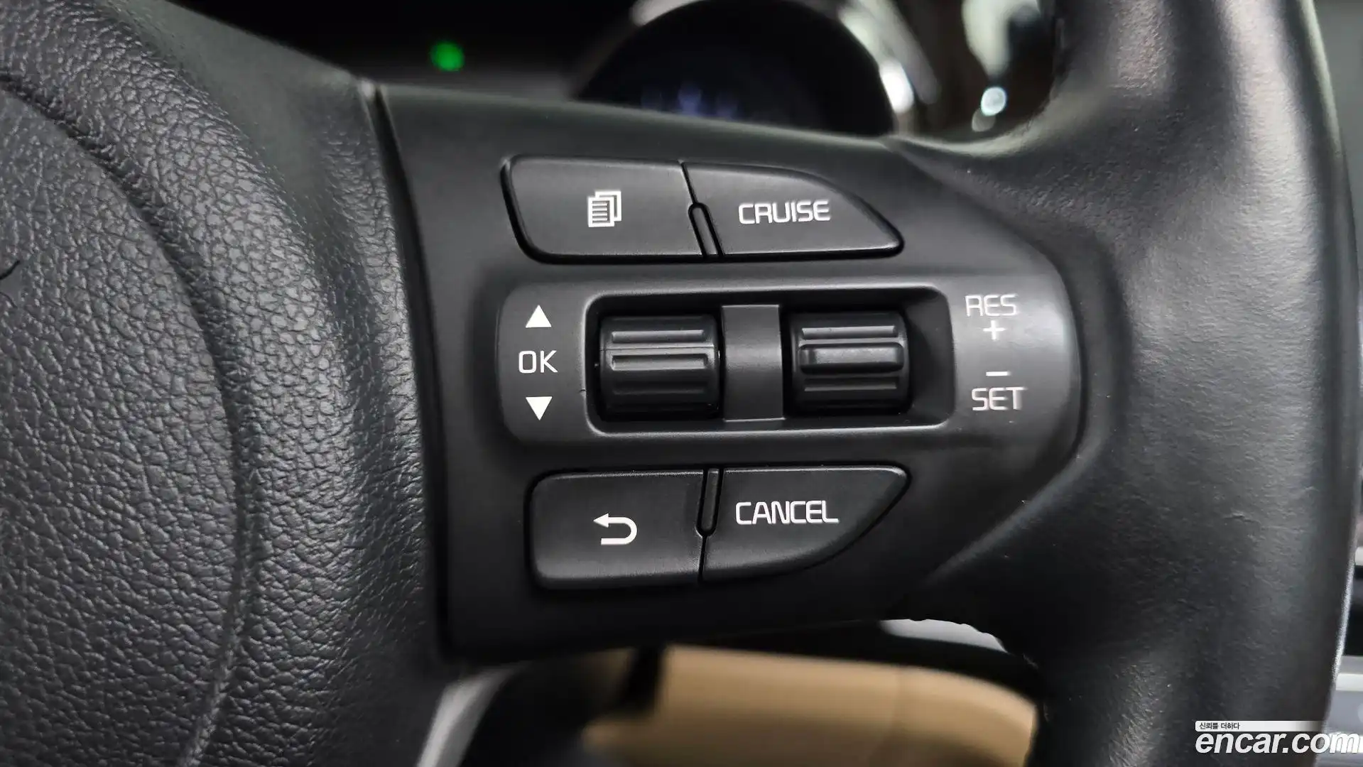 Canival Kia 2019.6-OPTION-020