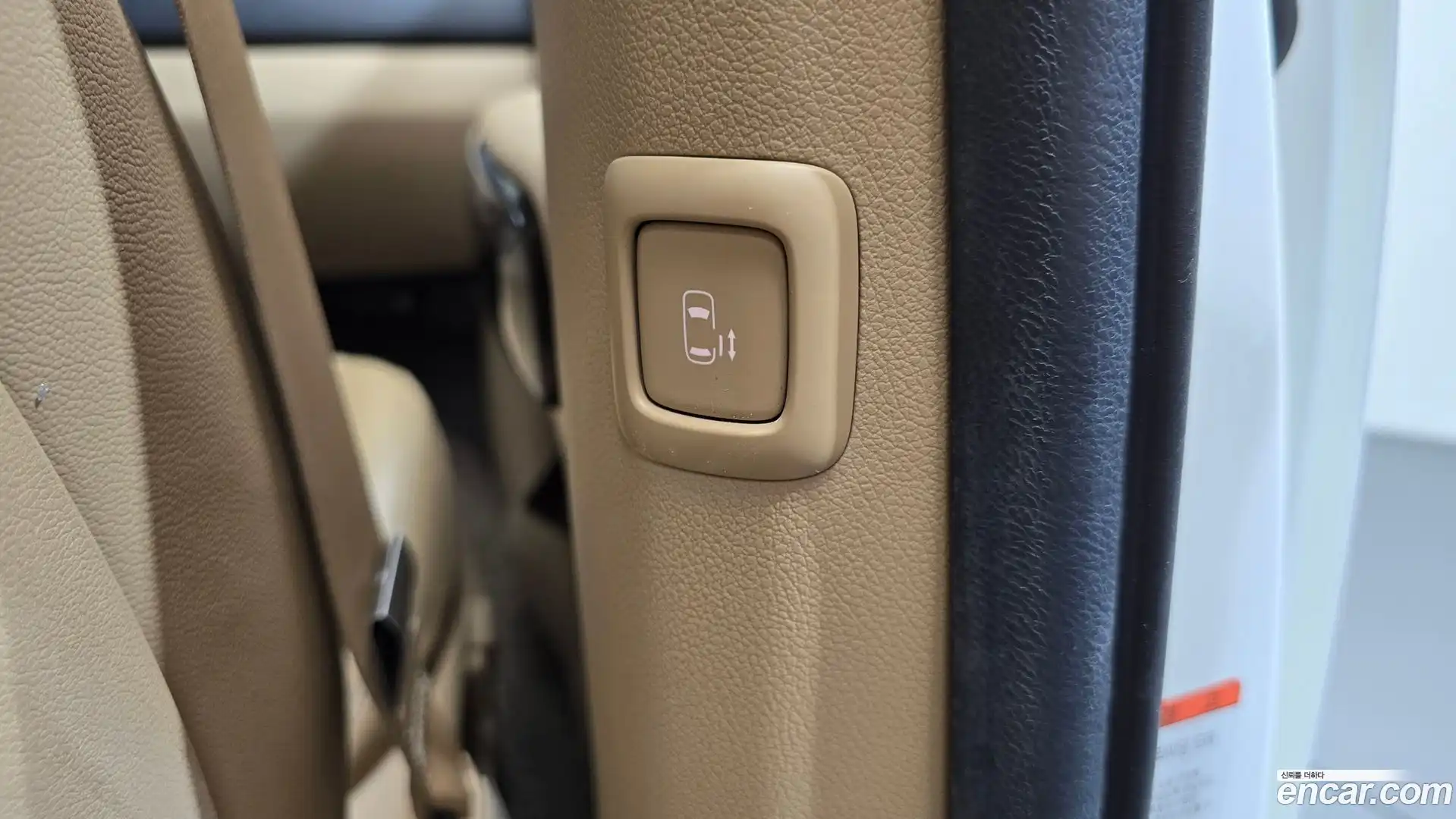 Canival Kia 2019.6-OPTION-023
