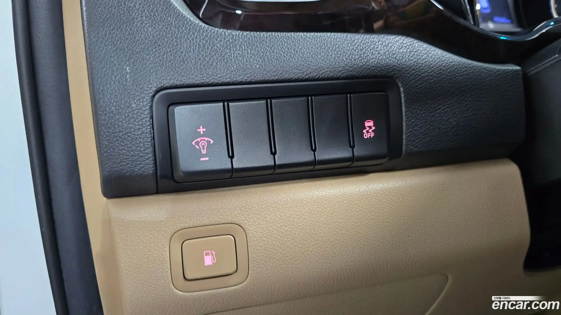 Canival Kia 2019.6-OPTION-040